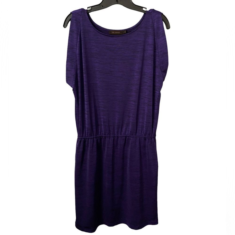 The Limited Purple Dress S